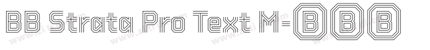 BB Strata Pro Text M字体转换 BB Strata Pro Text M字体转换